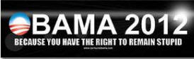 Obama 2012 - Because you have the right to remain stupid!