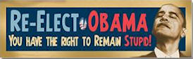 Re-elect Obama - You Have The Right To Remain Stupid